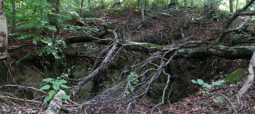 Wildnis Kohnstein, Niedersachswerfen