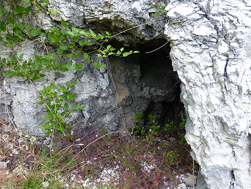 Eingang Ziegenhöhle am Mühlberg bei Niedersachswerfen 