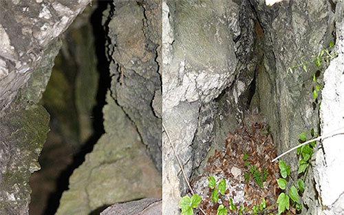 Klufte, Spalten an der Ziegenhöhle am Mühlberg bei Niedersachswerfen 