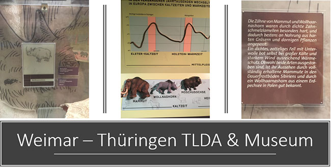 Wollnashorn Infotafel